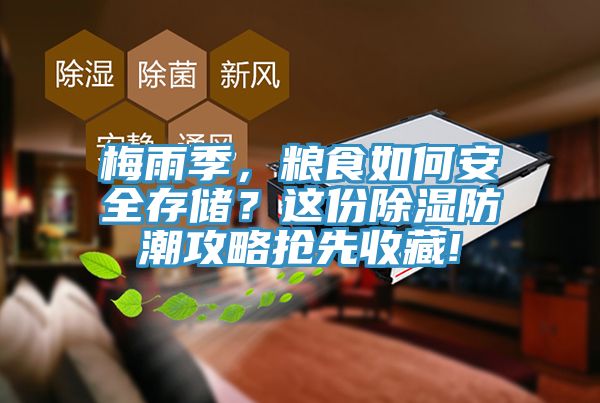 梅雨季，糧食如何安全存儲？這份除濕防潮攻略搶先收藏!