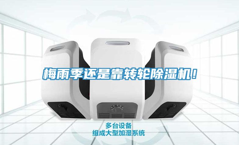 梅雨季還是靠轉(zhuǎn)輪除濕機(jī)！