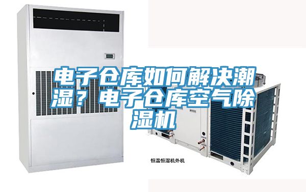 電子倉庫如何解決潮濕？電子倉庫空氣除濕機(jī)