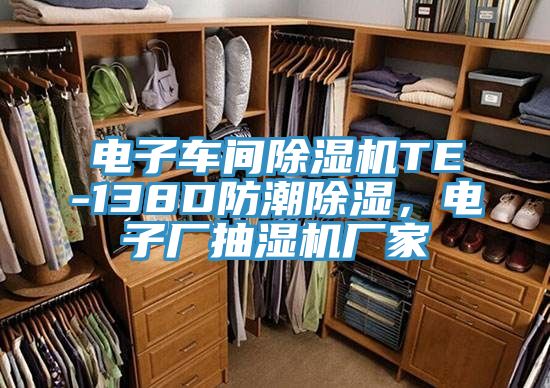 電子車間除濕機TE-138D防潮除濕，電子廠抽濕機廠家