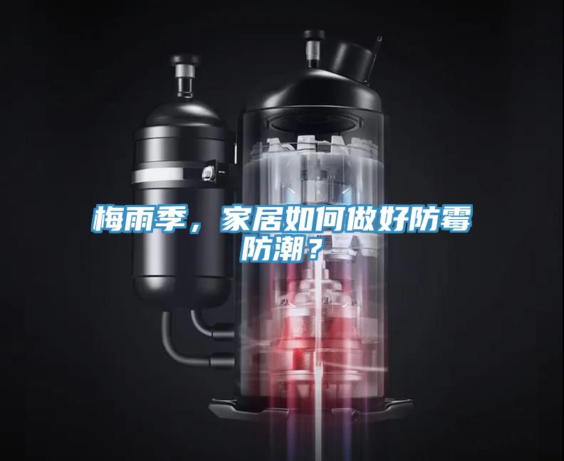 梅雨季，家居如何做好防霉防潮？