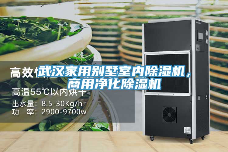 武漢家用別墅室內(nèi)除濕機，商用凈化除濕機
