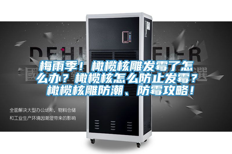 梅雨季！橄欖核雕發(fā)霉了怎么辦？橄欖核怎么防止發(fā)霉？ 橄欖核雕防潮、防霉攻略！
