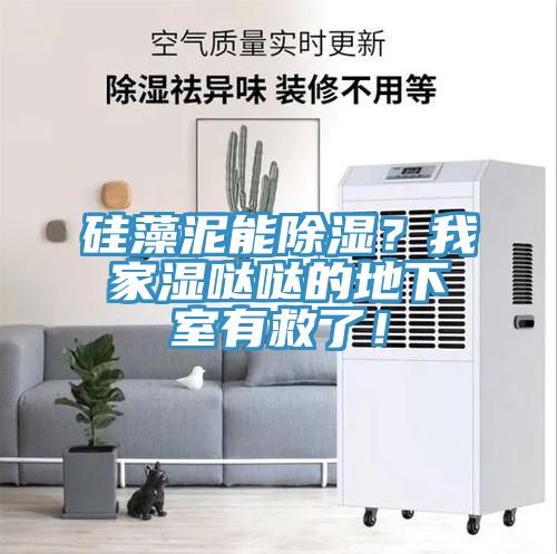 硅藻泥能除濕？我家濕噠噠的地下室有救了！