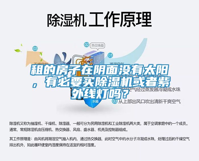 租的房子在陰面沒(méi)有太陽(yáng)，有必要買除濕機(jī)或者紫外線燈嗎？