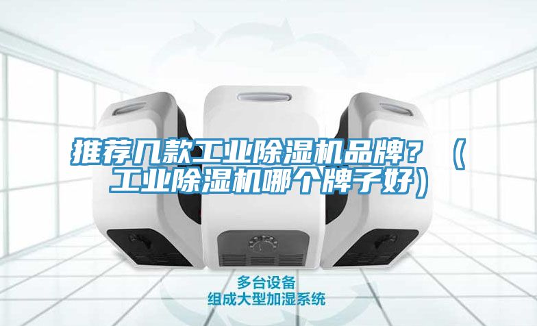 推薦幾款工業(yè)除濕機(jī)品牌？（工業(yè)除濕機(jī)哪個(gè)牌子好）