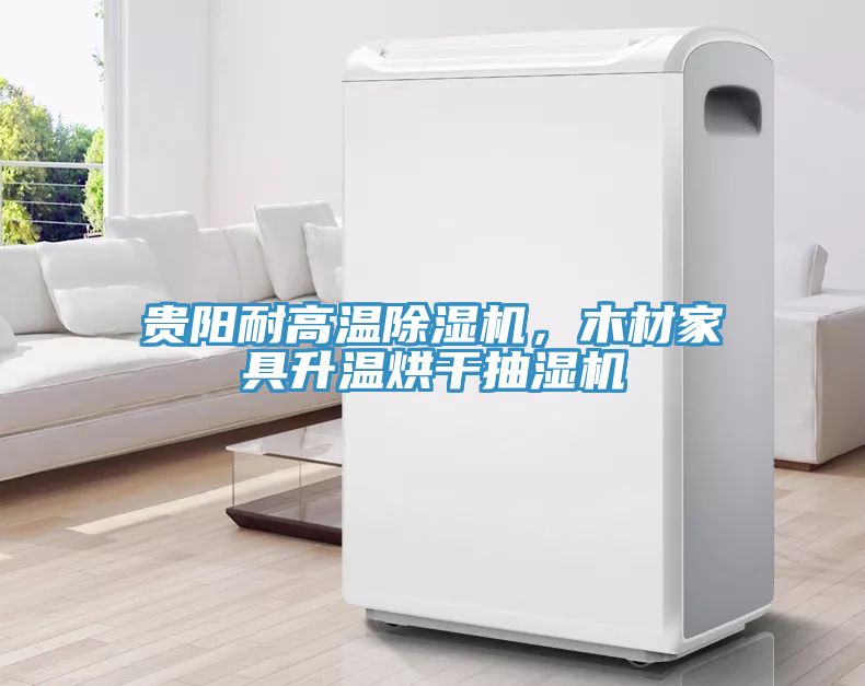 貴陽耐高溫除濕機，木材家具升溫烘干抽濕機