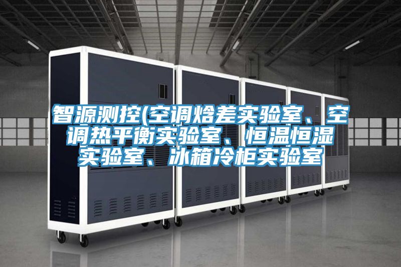 智源測控(空調(diào)焓差實驗室、空調(diào)熱平衡實驗室、恒溫恒濕實驗室、冰箱冷柜實驗室