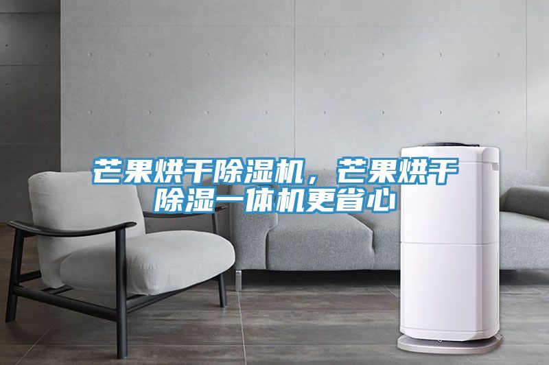 芒果烘干除濕機，芒果烘干除濕一體機更省心