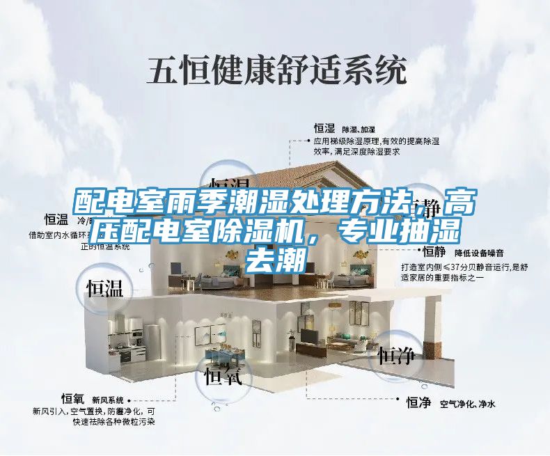 配電室雨季潮濕處理方法，高壓配電室除濕機，專業(yè)抽濕去潮