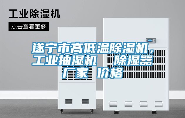 遂寧市高低溫除濕機(jī)，工業(yè)抽濕機(jī)  除濕器廠(chǎng)家 價(jià)格