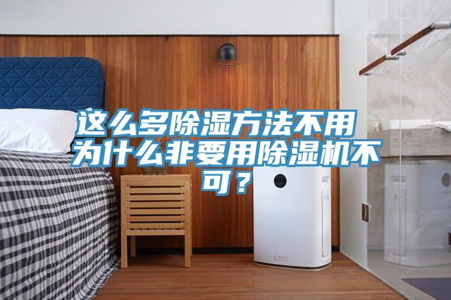 這么多除濕方法不用 為什么非要用除濕機(jī)不可？