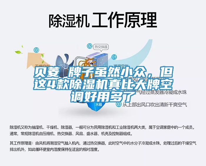 貝菱 牌子雖然小眾，但這4款除濕機真比大牌空調(diào)好用多了