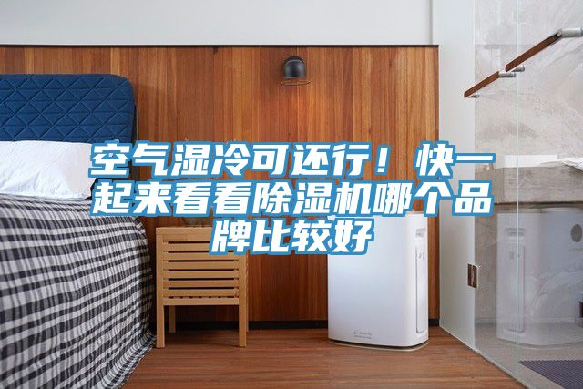 空氣濕冷可還行！快一起來看看除濕機哪個品牌比較好