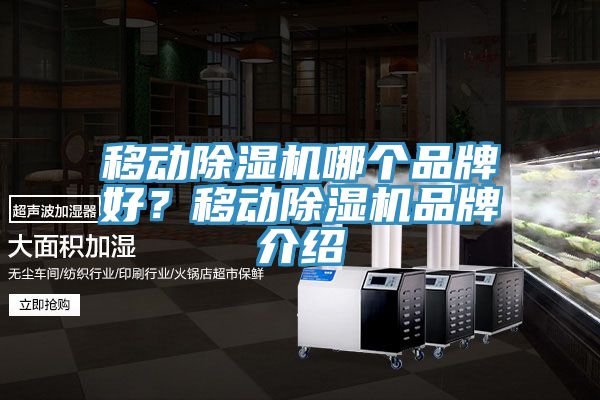 移動除濕機哪個品牌好？移動除濕機品牌介紹