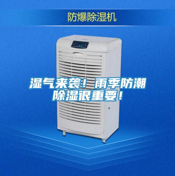 濕氣來襲！雨季防潮除濕很重要！