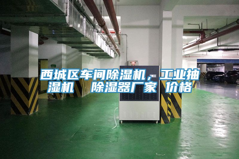 西城區(qū)車間除濕機(jī)，工業(yè)抽濕機(jī)  除濕器廠家 價(jià)格