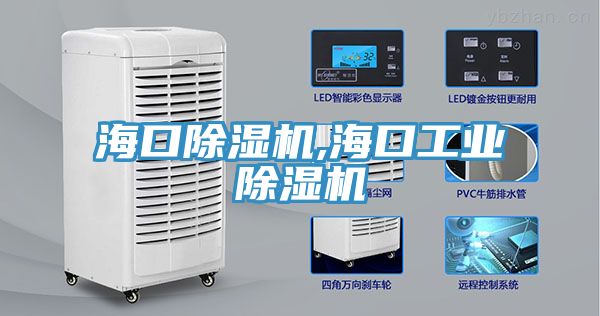 ?？诔凉駲C(jī),?？诠I(yè)除濕機(jī)