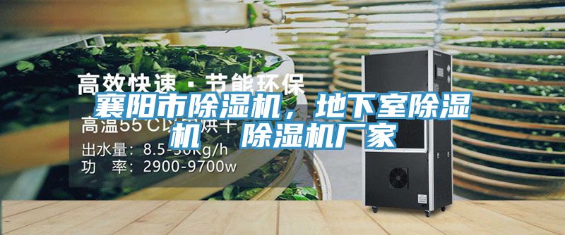 襄陽市除濕機，地下室除濕機  除濕機廠家