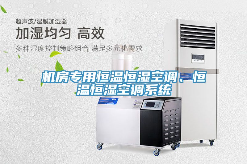 機(jī)房專用恒溫恒濕空調(diào)、恒溫恒濕空調(diào)系統(tǒng)