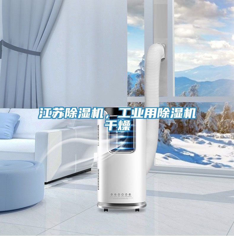 江蘇除濕機，工業(yè)用除濕機干燥