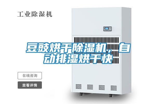 豆豉烘干除濕機，自動排濕烘干快