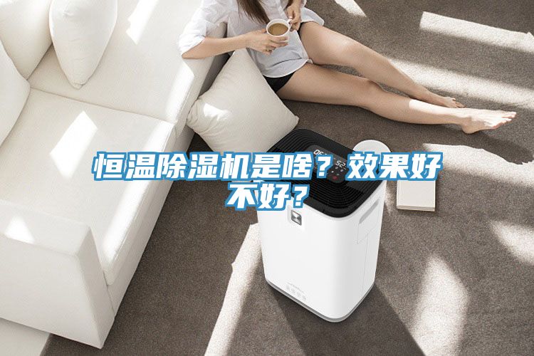 恒溫除濕機是啥？效果好不好？