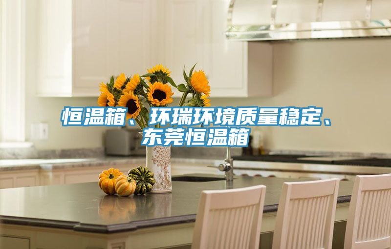 恒溫箱、環(huán)瑞環(huán)境質(zhì)量穩(wěn)定、東莞恒溫箱