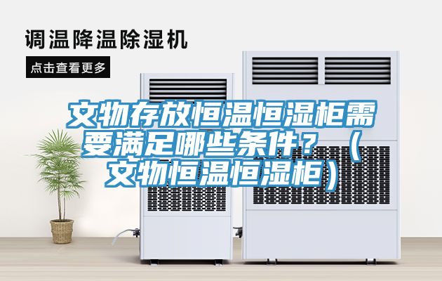 文物存放恒溫恒濕柜需要滿足哪些條件？（文物恒溫恒濕柜）