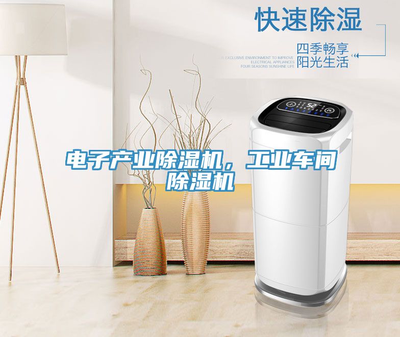 電子產(chǎn)業(yè)除濕機，工業(yè)車間除濕機