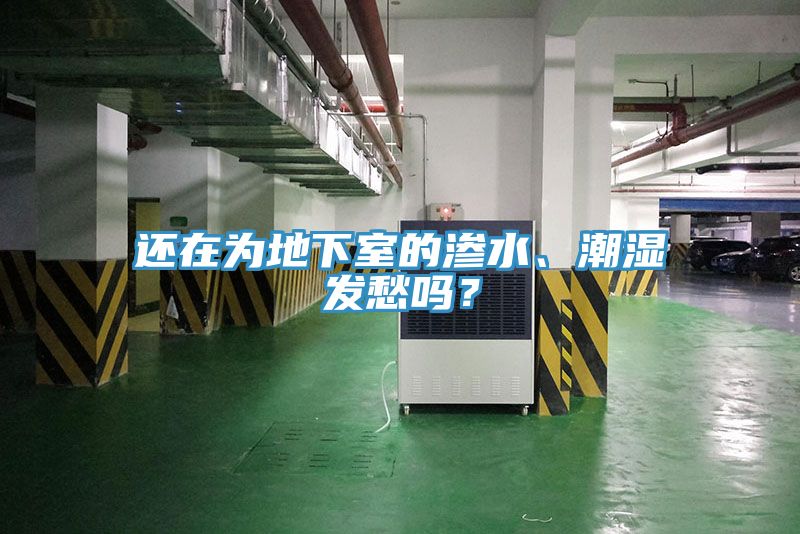 還在為地下室的滲水、潮濕發(fā)愁嗎？