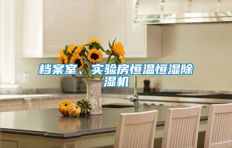 檔案室、實驗房恒溫恒濕除濕機