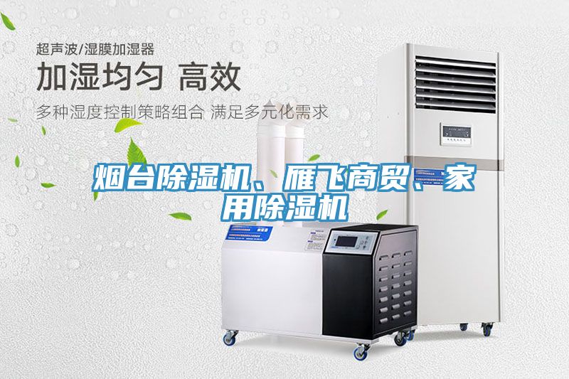 煙臺除濕機、雁飛商貿(mào)、家用除濕機