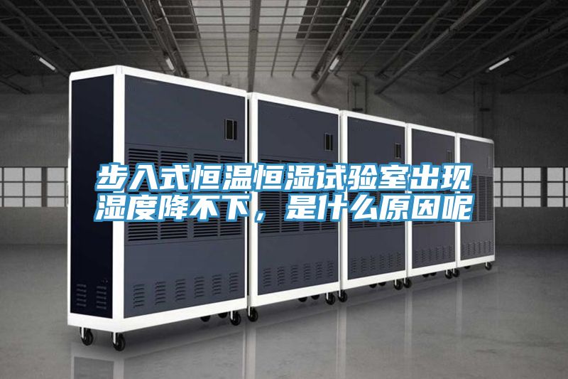步入式恒溫恒濕試驗(yàn)室出現(xiàn)濕度降不下，是什么原因呢