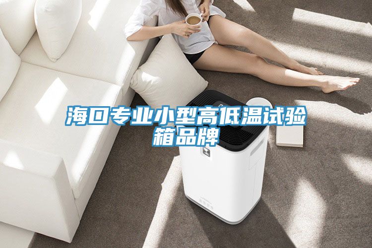 ?？趯I(yè)小型高低溫試驗箱品牌