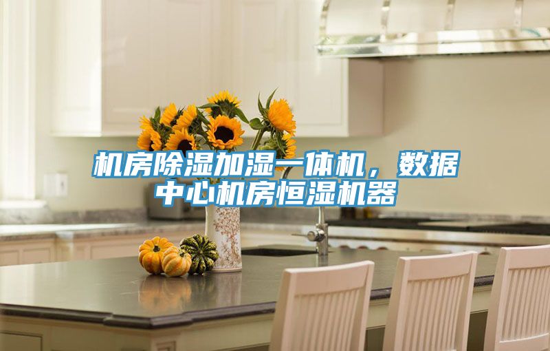 機房除濕加濕一體機，數(shù)據(jù)中心機房恒濕機器
