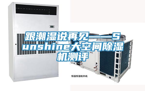 跟潮濕說(shuō)再見——Sunshine大空間除濕機(jī)測(cè)評(píng)