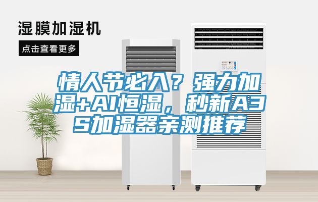 情人節(jié)必入？強(qiáng)力加濕+AI恒濕，秒新A3S加濕器親測(cè)推薦