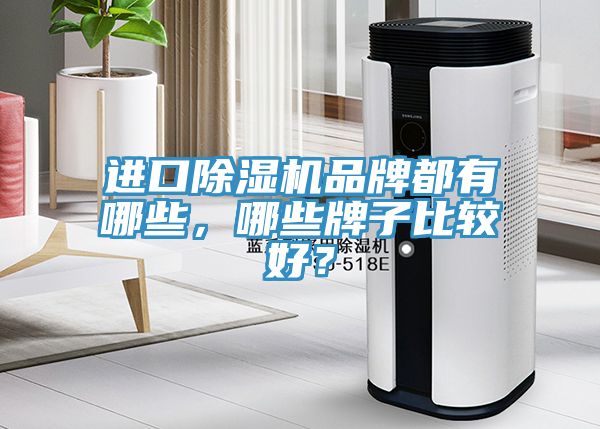 進口除濕機品牌都有哪些，哪些牌子比較好？
