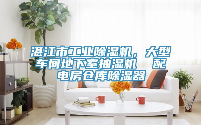湛江市工業(yè)除濕機(jī)，大型車間地下室抽濕機(jī)  配電房倉(cāng)庫(kù)除濕器