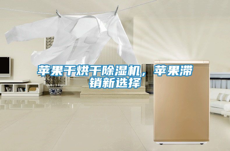 蘋果干烘干除濕機，蘋果滯銷新選擇
