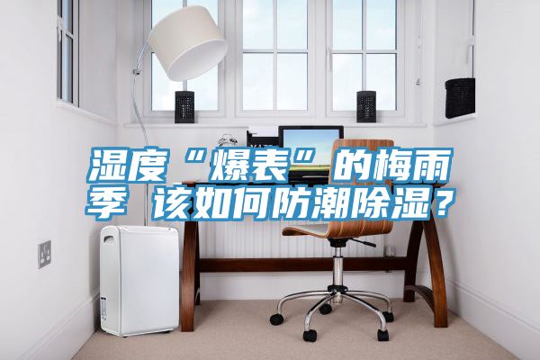 濕度“爆表”的梅雨季 該如何防潮除濕？
