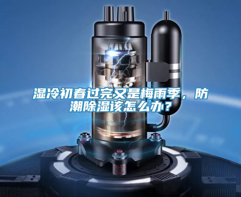 濕冷初春過(guò)完又是梅雨季，防潮除濕該怎么辦？
