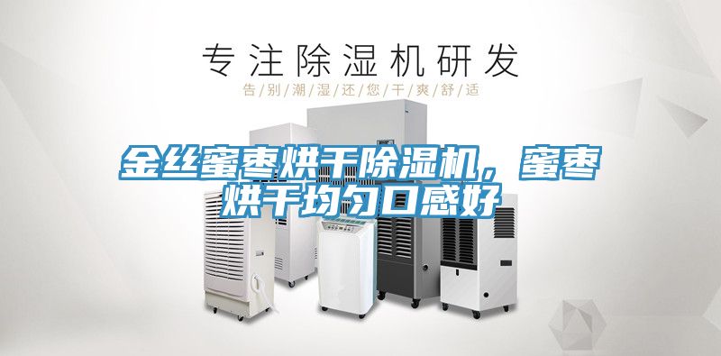 金絲蜜棗烘干除濕機，蜜棗烘干均勻口感好