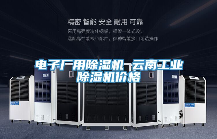 電子廠用除濕機(jī) 云南工業(yè)除濕機(jī)價格