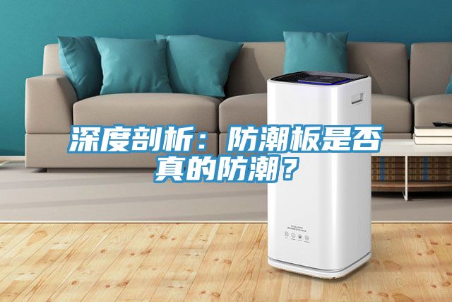 深度剖析：防潮板是否真的防潮？