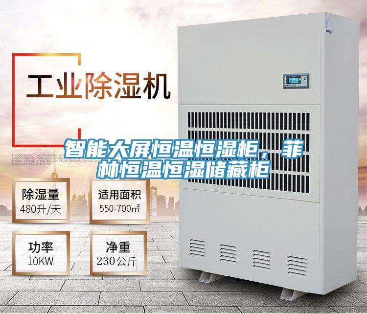 智能大屏恒溫恒濕柜，菲林恒溫恒濕儲藏柜