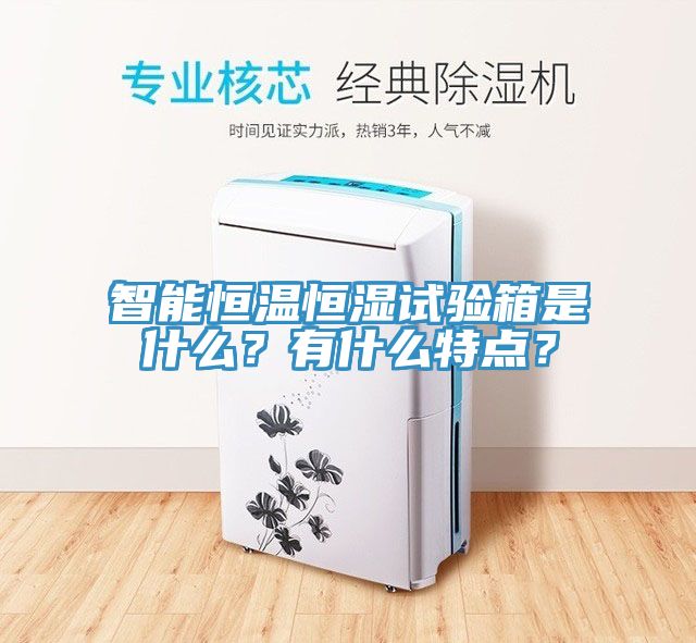 智能恒溫恒濕試驗箱是什么？有什么特點？