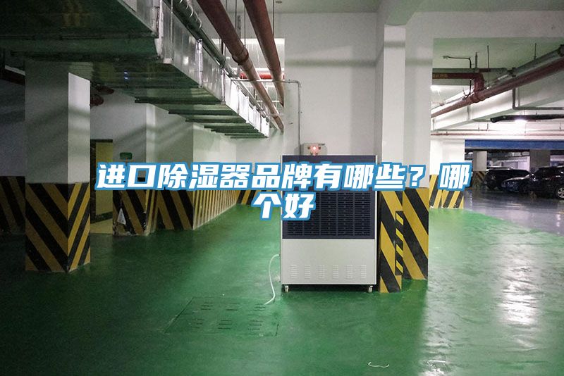 進(jìn)口除濕器品牌有哪些？哪個好