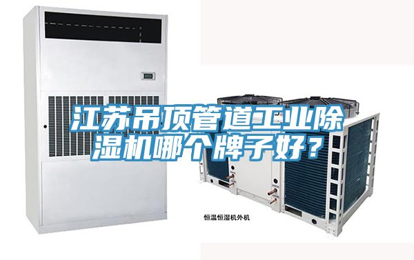 江蘇吊頂管道工業(yè)除濕機哪個牌子好？